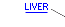 The Liver